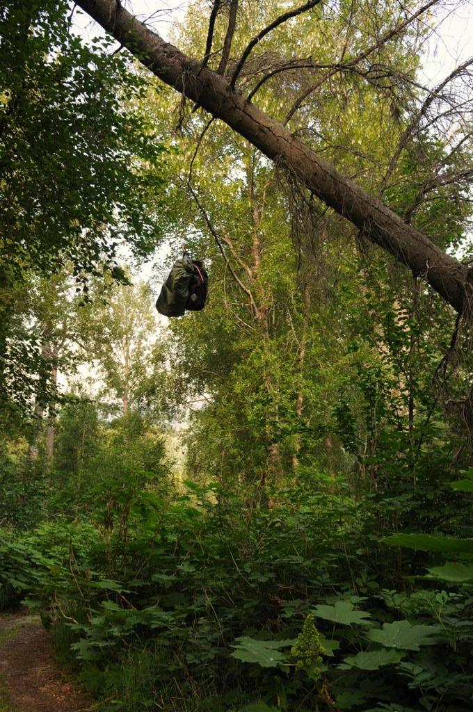 Hanging our food for the night. If the bears can get that, they deserve it...