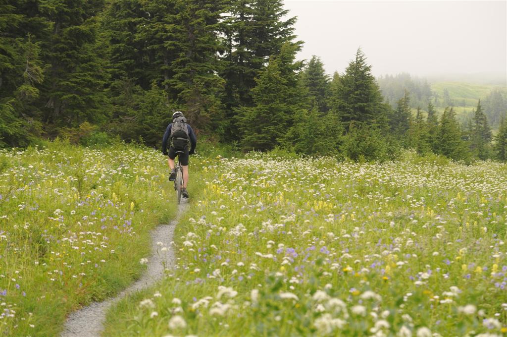 Woodland, alpine and rooty singletrack. Lost Lake is a gem of a trail. 