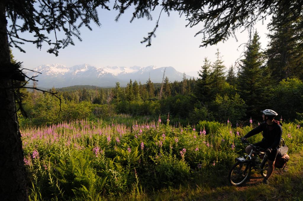 Alaska One: stunning mountain scenery and barely a soul on the trail. 