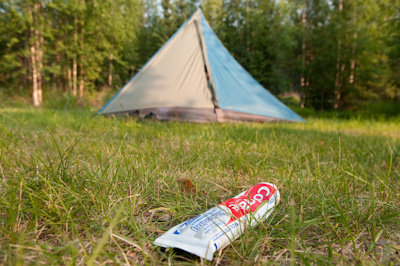 Apparently bears like nothing more than snacking on toothpaste, so don't forget to leave that outside too. 