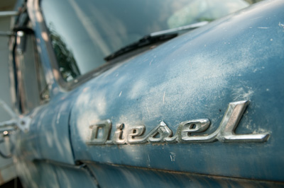 And well as the obligatory old pickups rusting into the earth. 