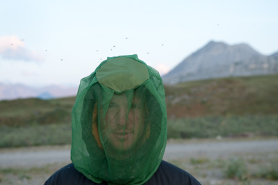 Still, Daniel wasn't taking any chances, donning his face mask and mozzieproofs - close that can withstand their tenacious attacks. 