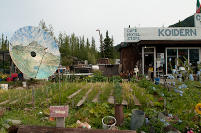 Their satellite dish was painted by the Yukon Elvis. Feisty Dorothy interupted our conversion to leap out of her seat with amazing agility, and yell at a couple whose dog she suspected had pee'd on her vegetables. 