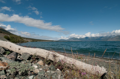 Kluane Lake, the largest in the Yukon. 