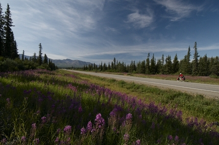 About to leave tarmac and turn onto the gravelly delights of the Denali Highway. 