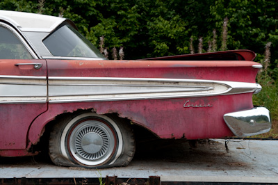 This 1949 Ford was for sale. It looked like it had been sitting there for a long time...