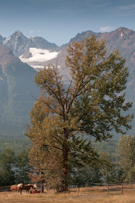 Approaching Smithers. This is farming country, and the landscape was marked with enormous wooden barns and ranches. 