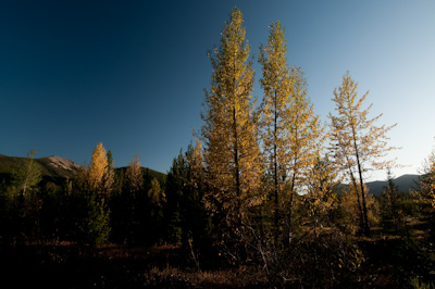 Autumn approaches. 