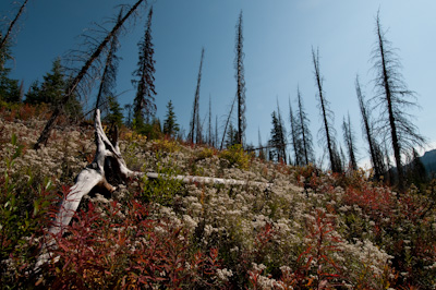 Cresting Cabin Pass. 