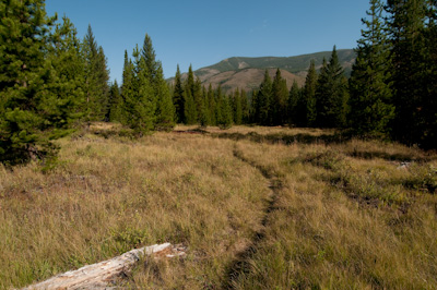 The subtle indent of singletrack that will lead me to the next forest road. Or so I hope. 