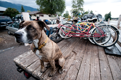 In the morning, everyone piled their cruisers onto a trailer, and headed up a local mountain, only to tear back down again, swigging beer as they went. Unfortunately, we had to take to the road once more...