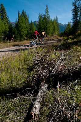 Most of the time, we could cycle alongside each other and chat. 