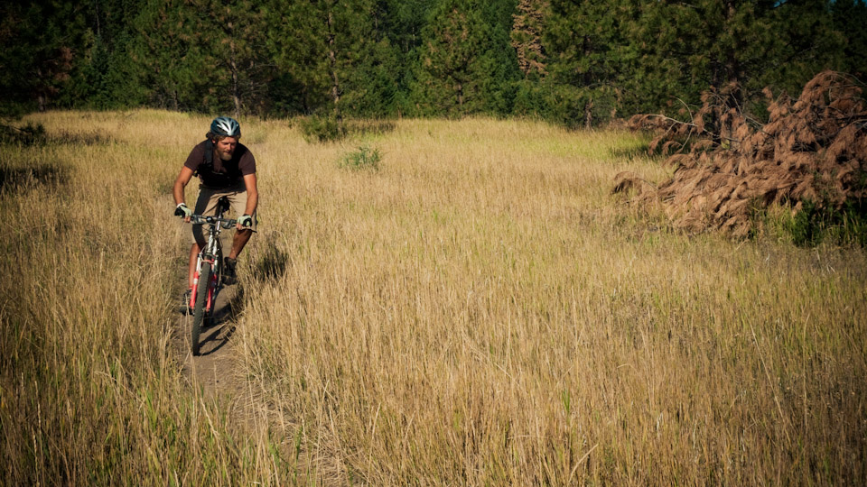 Sweet Missoulan singletrack. Copyright Tom Robertson. 