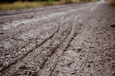 What should have been a lovely, fast forest track turned into mush and slime. 