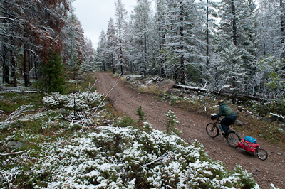 The scenery was stunning; the forest looked frozen in time. 