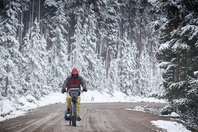 Then the snow started to fall, and a blanket of flat, blue light covered the land. 