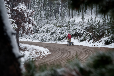 The occasional truck stopped the snow from settling on the ground. 