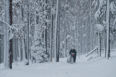 Darkness was starting to fall. We knew we were on the right track, but there didn't seem an end in sight to the trail. 