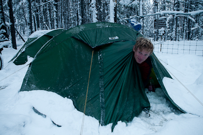 And here's Robert, emerging from his cocoon. 