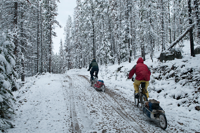 Yey, back on the forest road again!