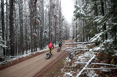 Soon, the snow seemed a distant memory. 