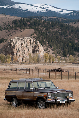 I like the way this old truck was parked up randomly in a field, as if it was on a shoot for a 70s brochure. 