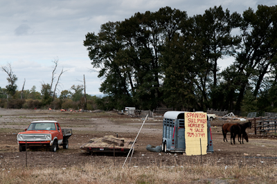 Roadside scene in Idaho. 