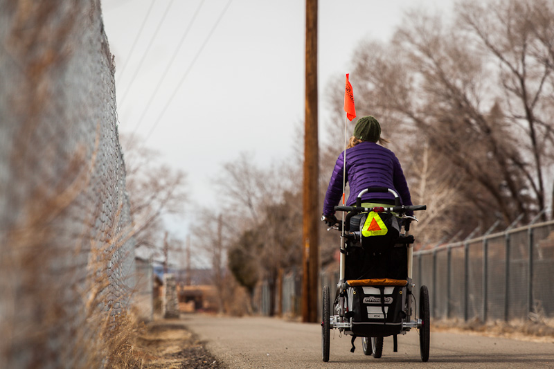 thule chariot flag