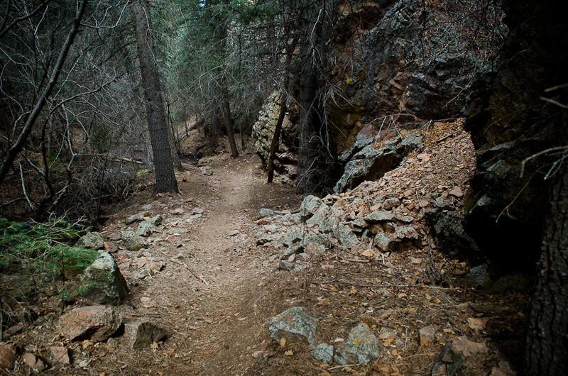 WIndsor Trail. 