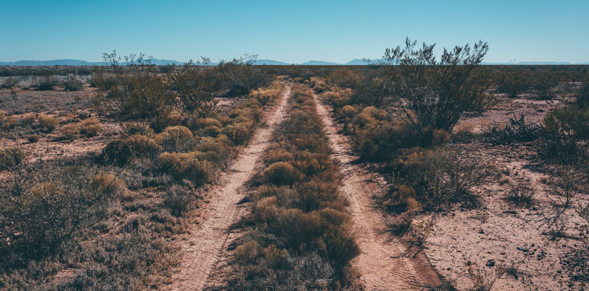 New Mexico Off Road Runner